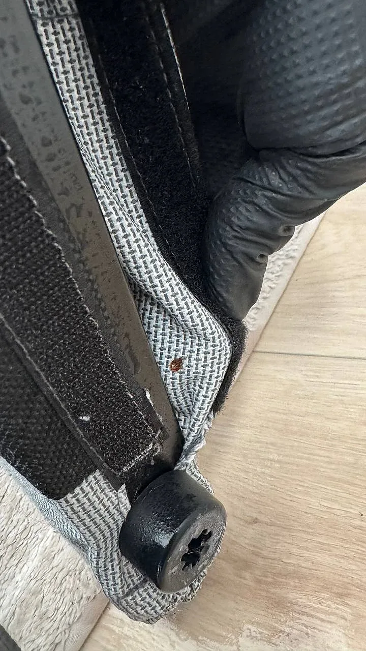 Inspecting a mattress seam — a bed bug found